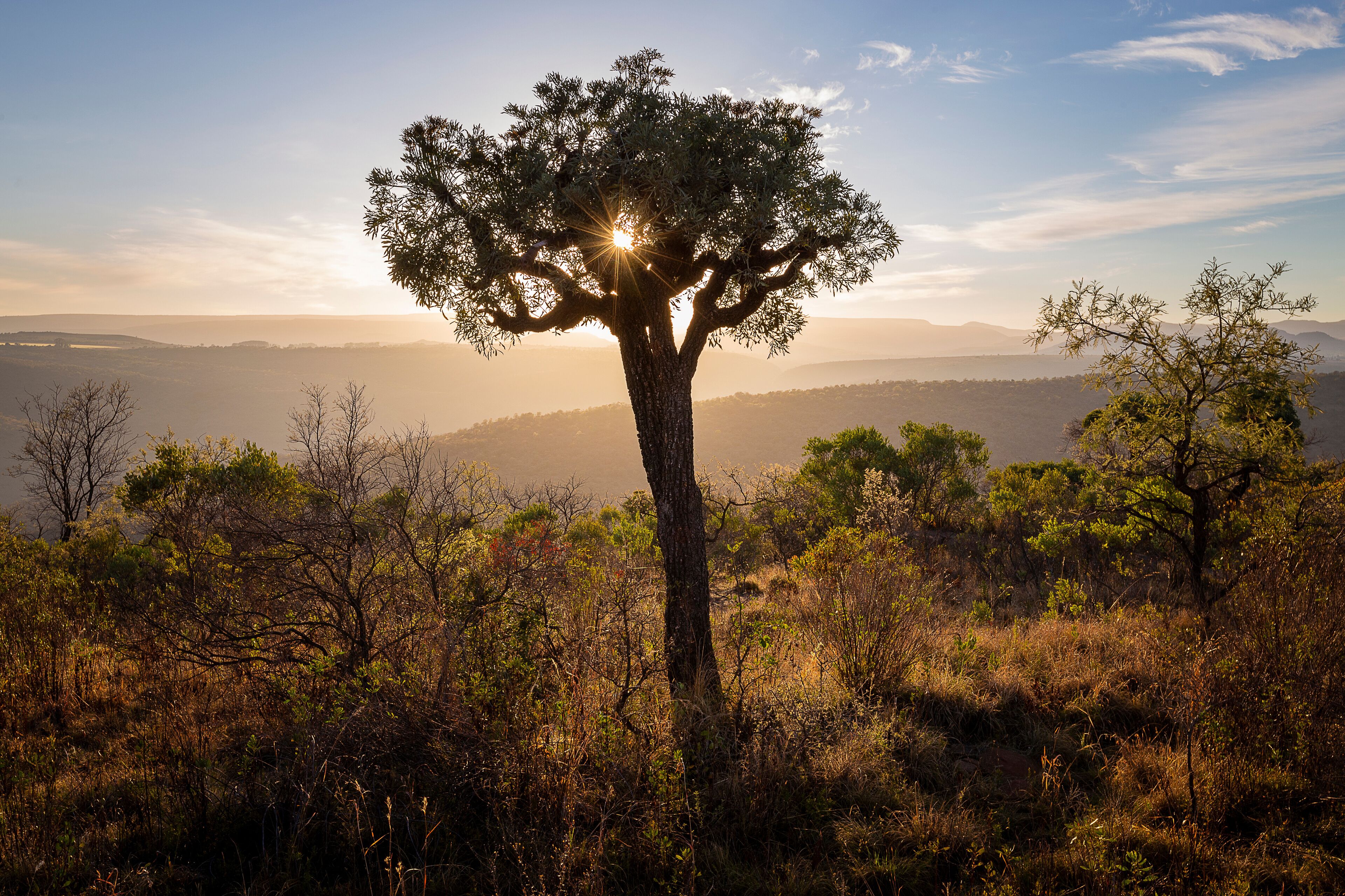 Kudud Private Nature Reserve Landscapes 