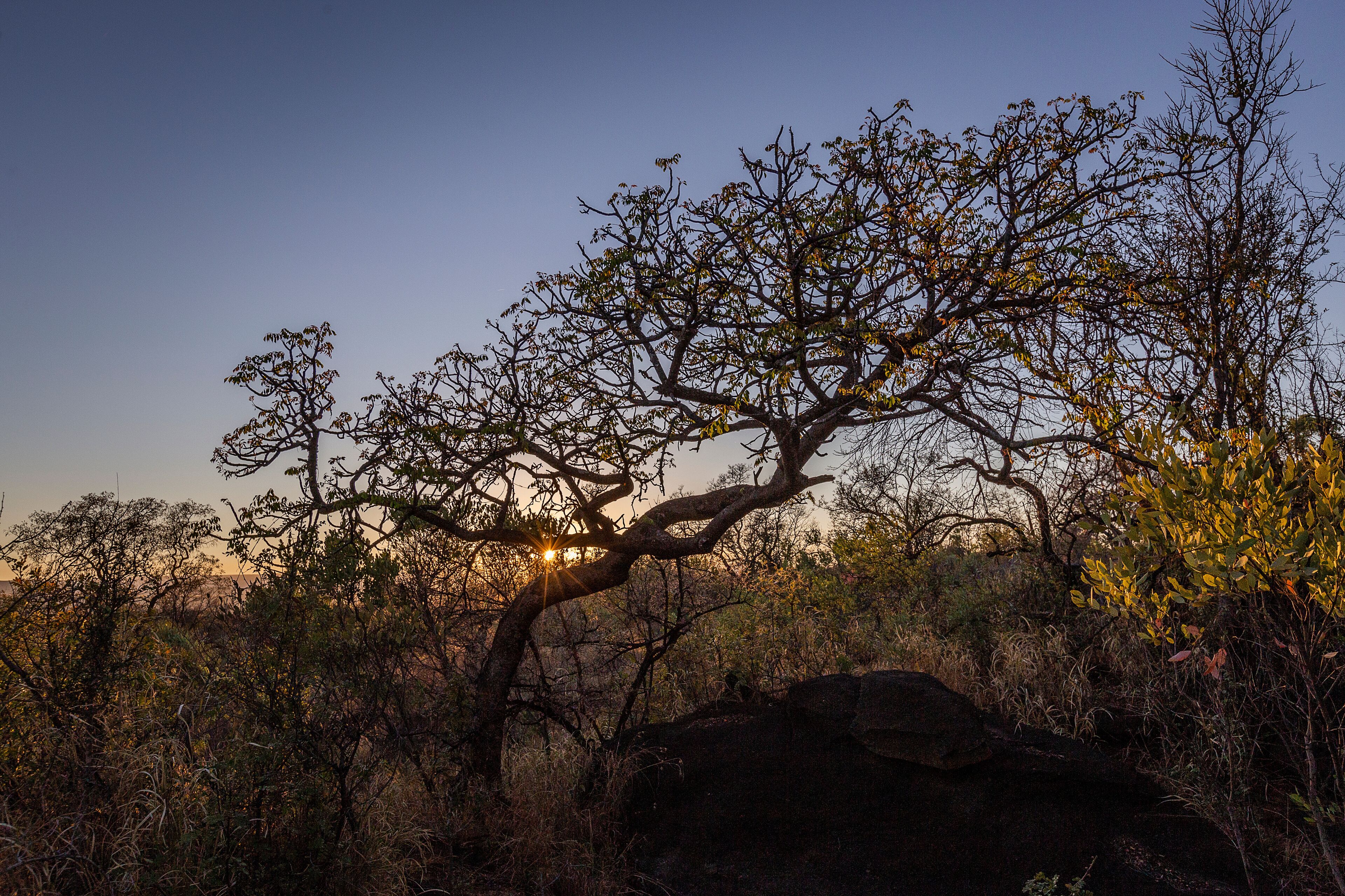 Kudud Private Nature Reserve Landscapes 