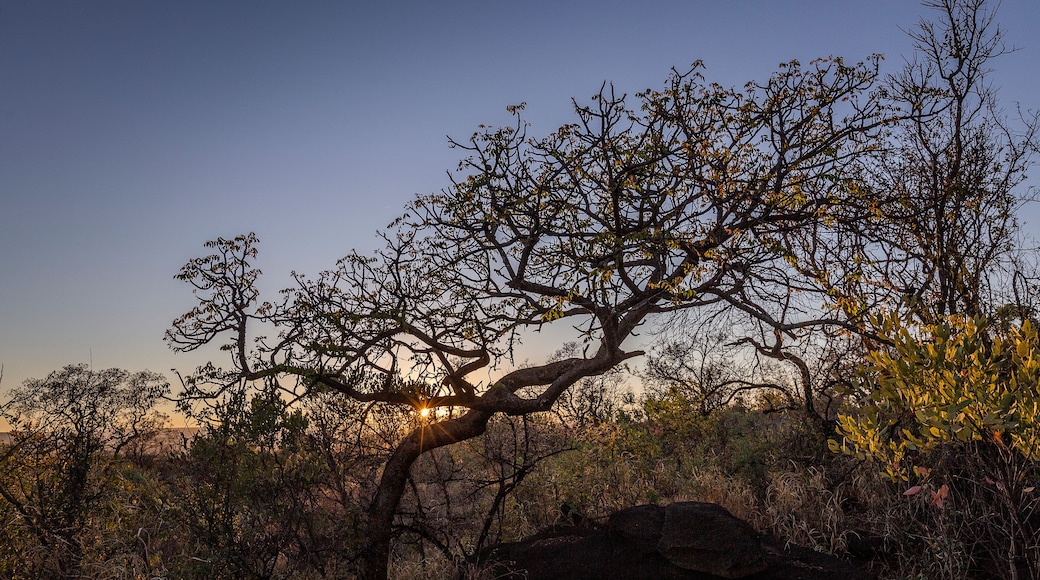 Kudud Private Nature Reserve Landscapes