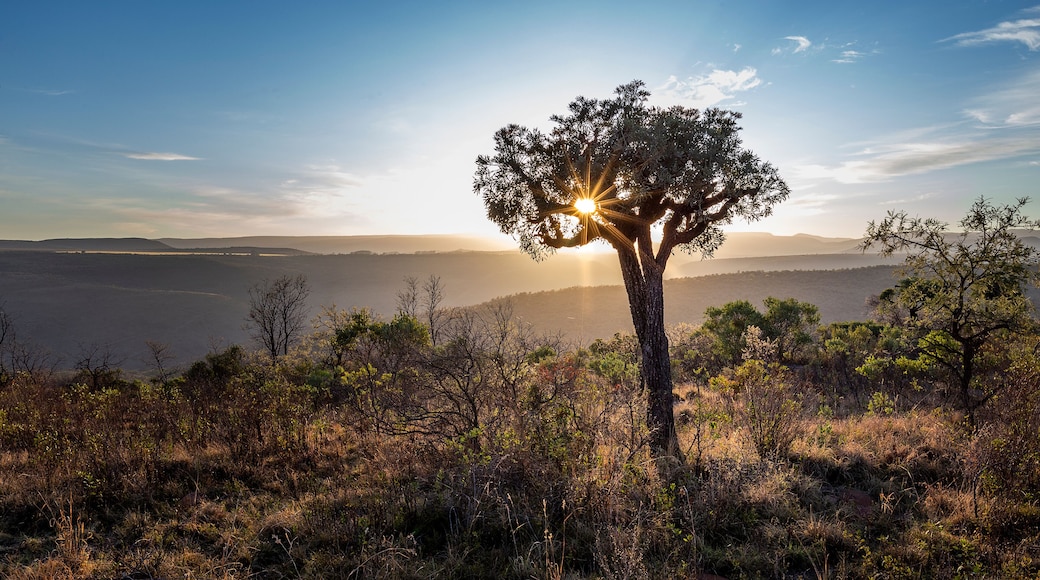 Kudud Private Nature Reserve Landscapes