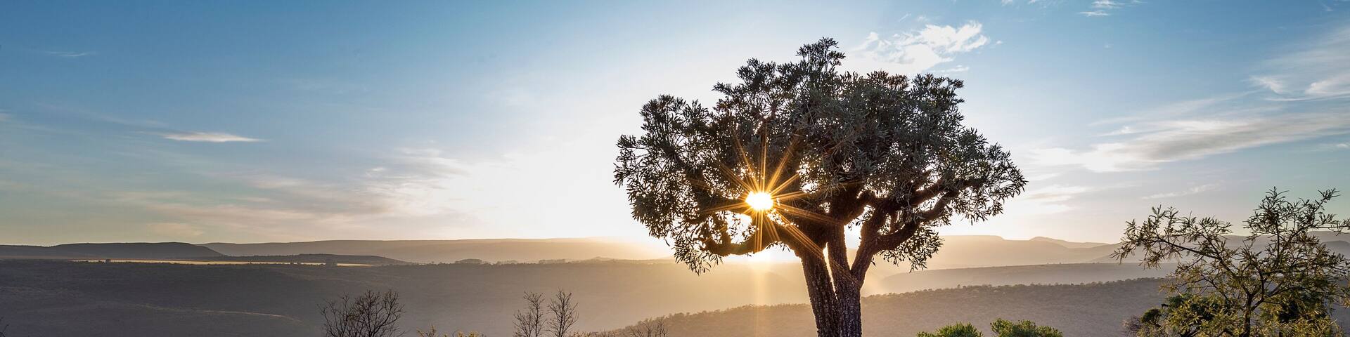 Kudud Private Nature Reserve Landscapes