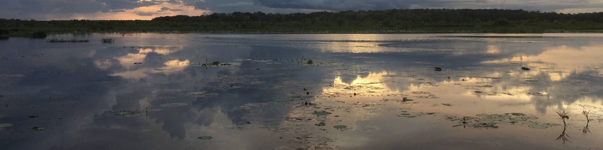 Perfect setting for a sunset and reflections in Darwin, Northern Territory. Was lucky enough to capture many photos at different times as the sun went down. #sunset #clouds #reflections #nofilter