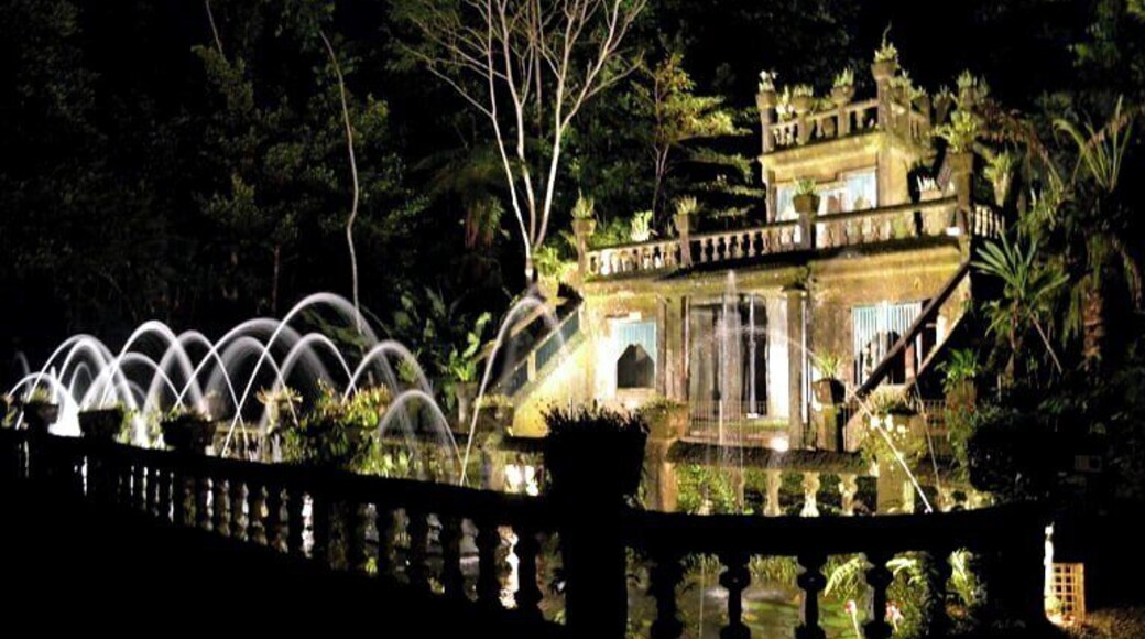 Just south of Cairns is this unique spot amongst ancient rainforests and raging waterways.
A great spot to camp for the night. Fantastic pub grub for dinner a short walk away and then see Paranella Park in a different light (by night). There is an opportunity to see glow worms, fire flys, glow mushrooms that were the coolest form of nature. By day, it does not disapoint as you discover the same but see different sights that both nature and man has created in harmony.