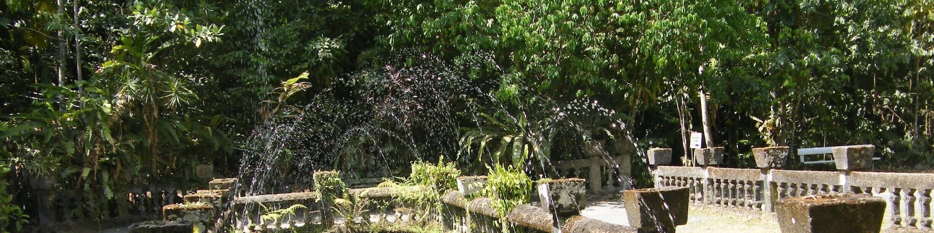 Paronale Park; this park has so much history. Its a peaceful place with lots of flora and fauna.