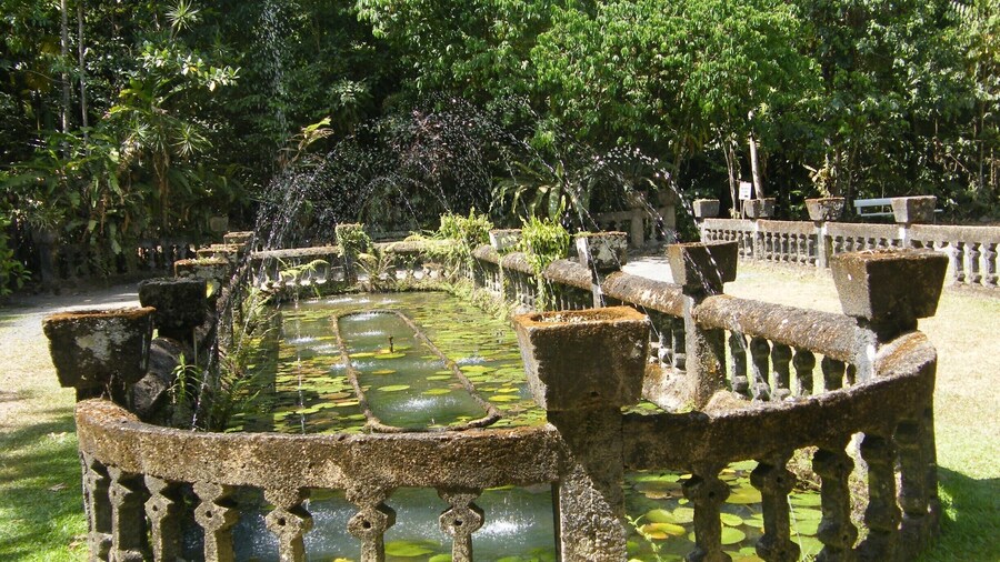 Paronale Park; this park has so much history. Its a peaceful place with lots of flora and fauna.