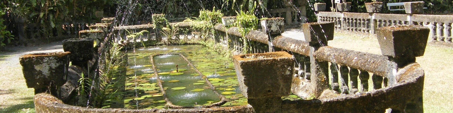 Paronale Park; this park has so much history. Its a peaceful place with lots of flora and fauna.