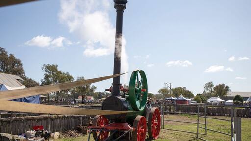 The heritage-listed Woolshed at Jondaryan is the oldest and largest operating Woolshed in the world with over 150 years of history