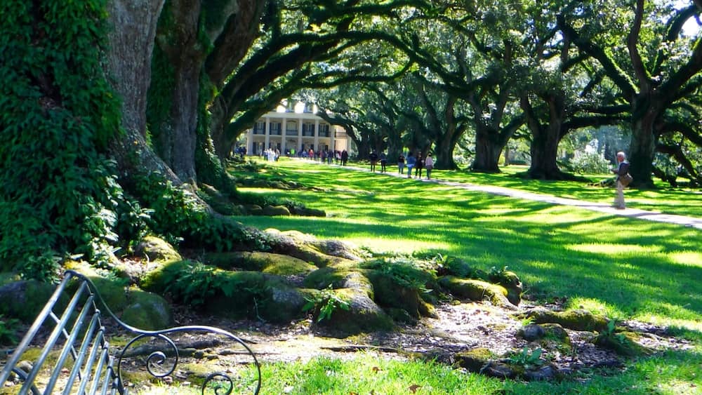North America, United States, Louisiana, North Vacherie (St. James Parish), Oak Alley Plantation : Louisiana's Creole Heritage Site