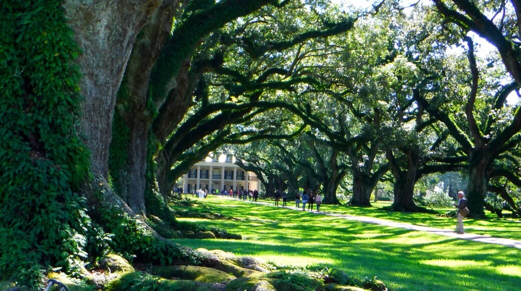 North America, United States, Louisiana, North Vacherie (St. James Parish), Oak Alley Plantation : Louisiana's Creole Heritage Site