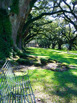 North America, United States, Louisiana, North Vacherie (St. James Parish), Oak Alley Plantation : Louisiana's Creole Heritage Site