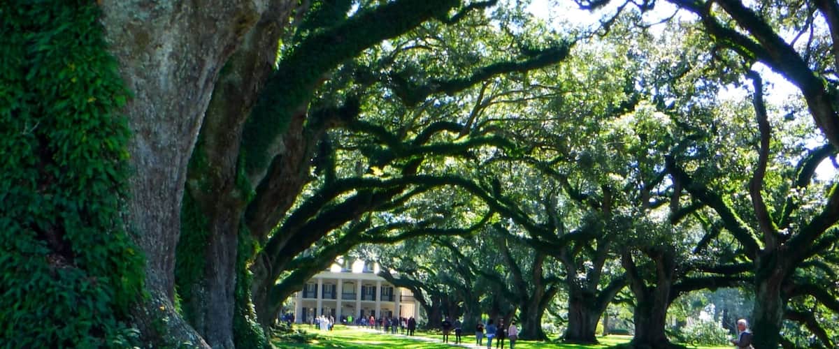 North America, United States, Louisiana, North Vacherie (St. James Parish), Oak Alley Plantation : Louisiana's Creole Heritage Site
