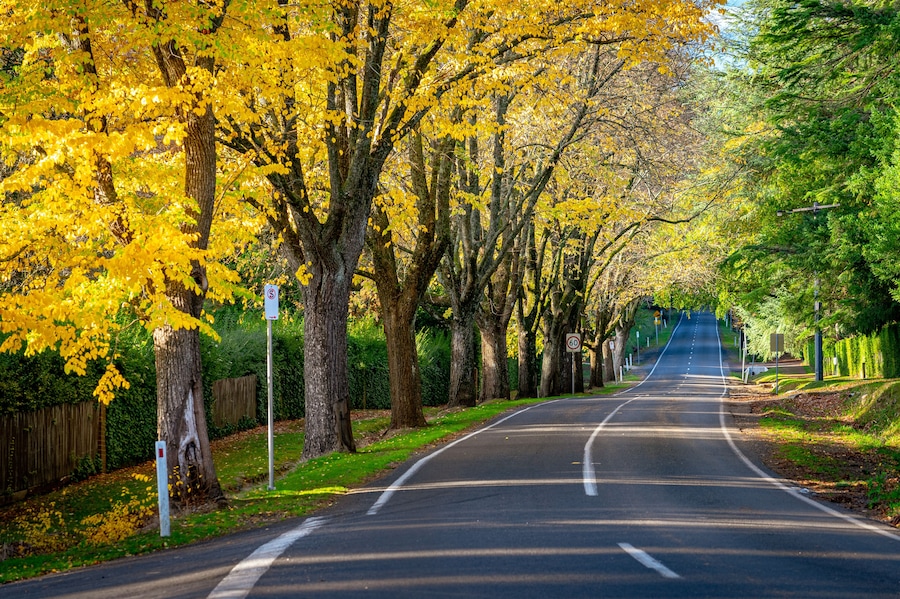 Autumn colours in Mount Macedon, Victoria, Australia