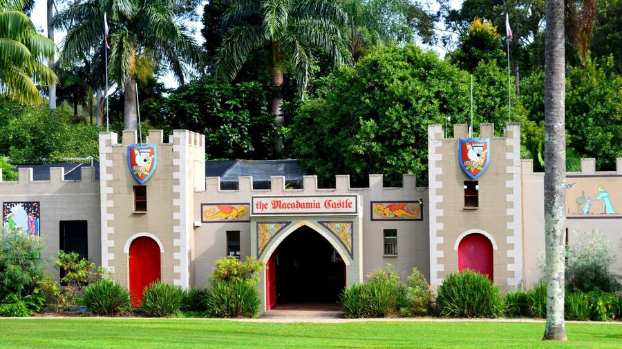 BEST PANCAKES ARE FOUND HERE.
When you visit the Byron Bay region, this is a must see stop for all your hunger needs.
A great range and value for money Pancakes all day, Ice Creams that are delicious and a beautiful gift shop to wander through and purchase something special for your loved ones.
Not to forget Warm, fresh, flavoursome Macadamia Nut range.