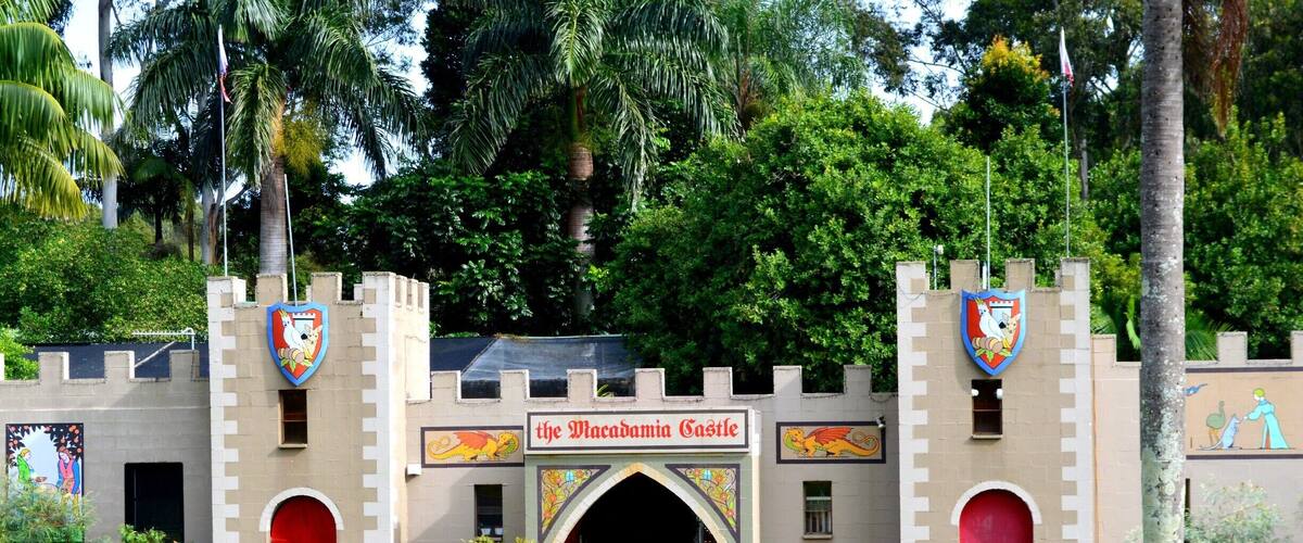 A castle-like building with a red door and a sign reading "the Macanogam Castle."