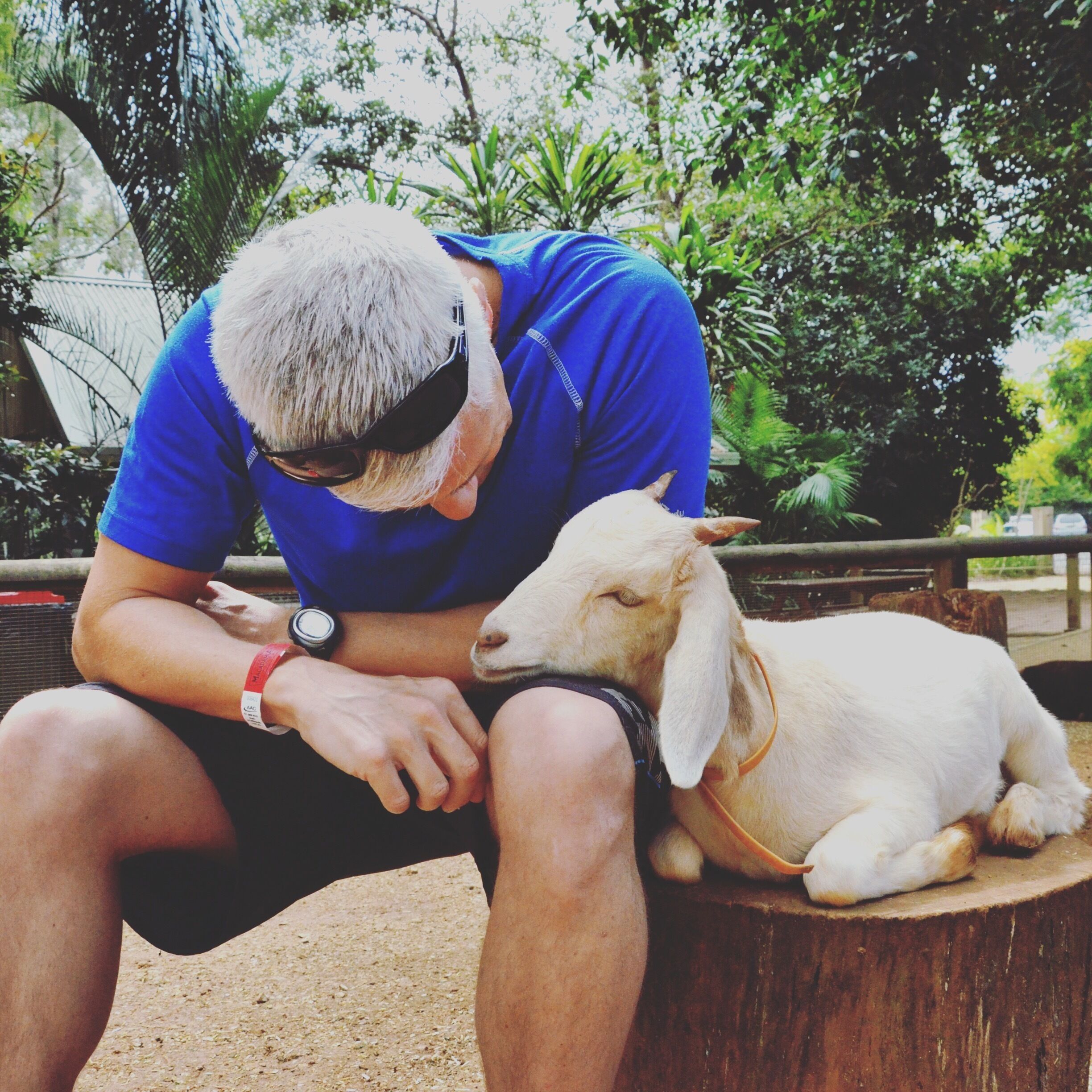 I have to admit, I have a soft spot for most animals - but right up there among my favourites are GOATS.

There's something far more intelligent that lies beneath that look of mystery than meets the eyes.

On this particular day I stumbled across this little guy and we managed to share a few magic moments that demonstrate just how incredible an animal goats really are.

Located inland in Northern New South Wales, you'll find 'Macadamia Castle' - a 6 Acre park with a myriad of over 150 native and farmyard animals, birds and reptiles.

Its a real goodie thats well worth stopping into if you are travelling on the Pacific Highway between Brisbane and Sydney.

#Australia #Animals #CuteCreatures
