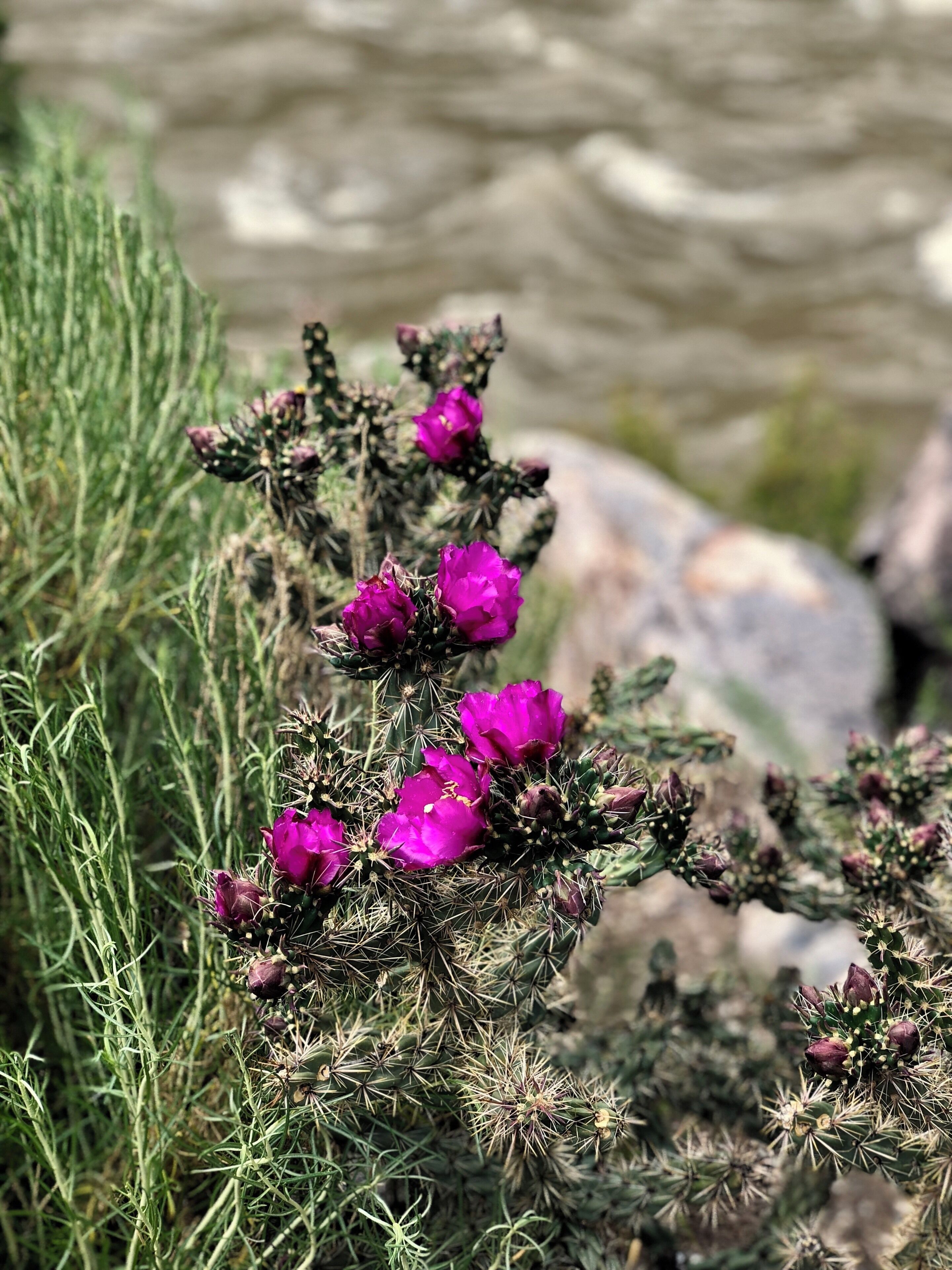 There’s a cool rock formation too...