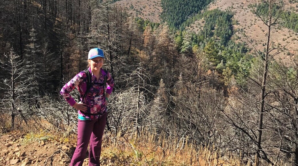 Hiking the recent burn area in Hayden Creek in the Sangre de Cristo National Forest, near ART in Cotopaxi, CO