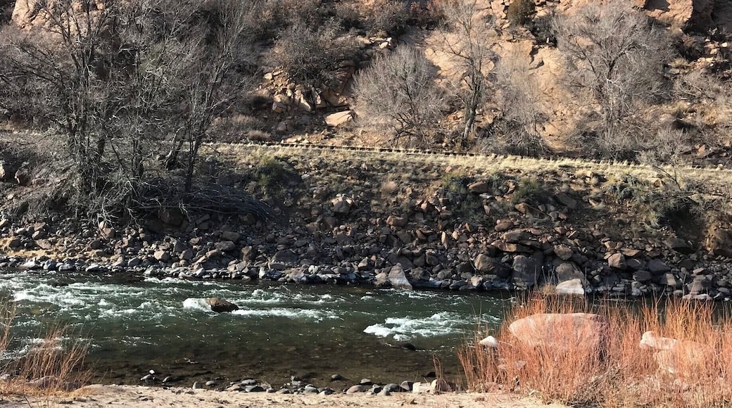 Most beautiful spot on the Upper Arkansas River! Right on ART's private beach