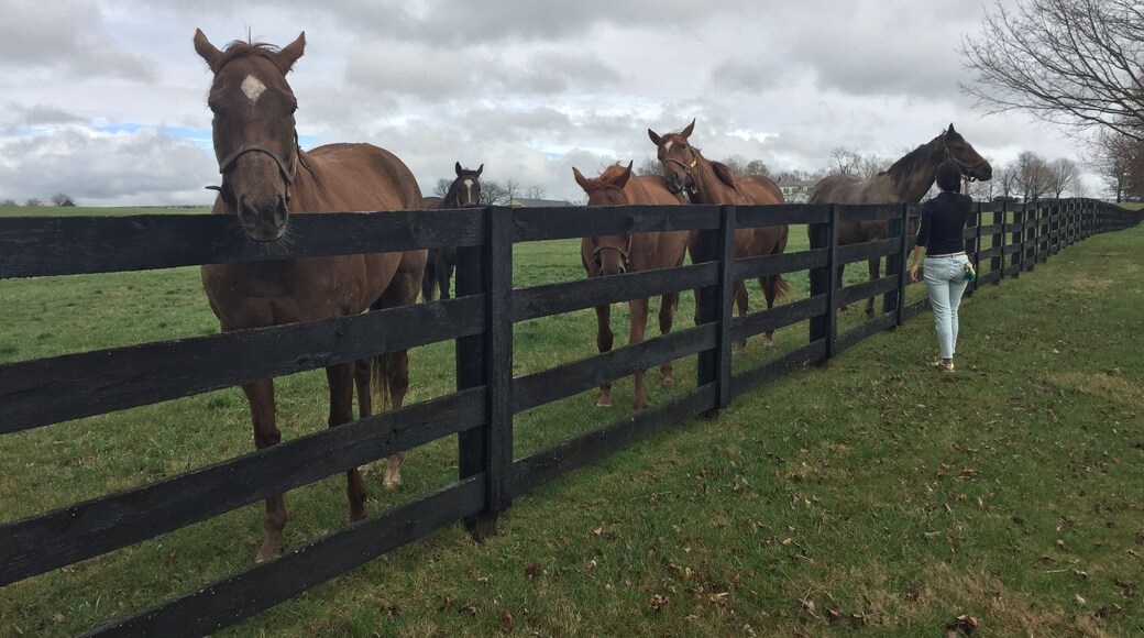 Horse Capital of the world.