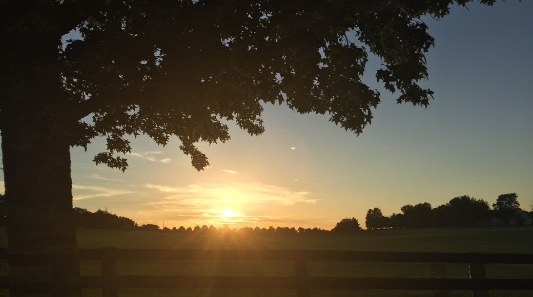 Beautiful summer Sunsets.