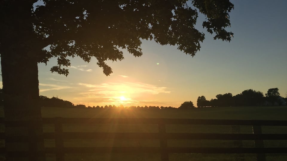 A sunset over a rural landscape with a tree silhouetted against the sky.