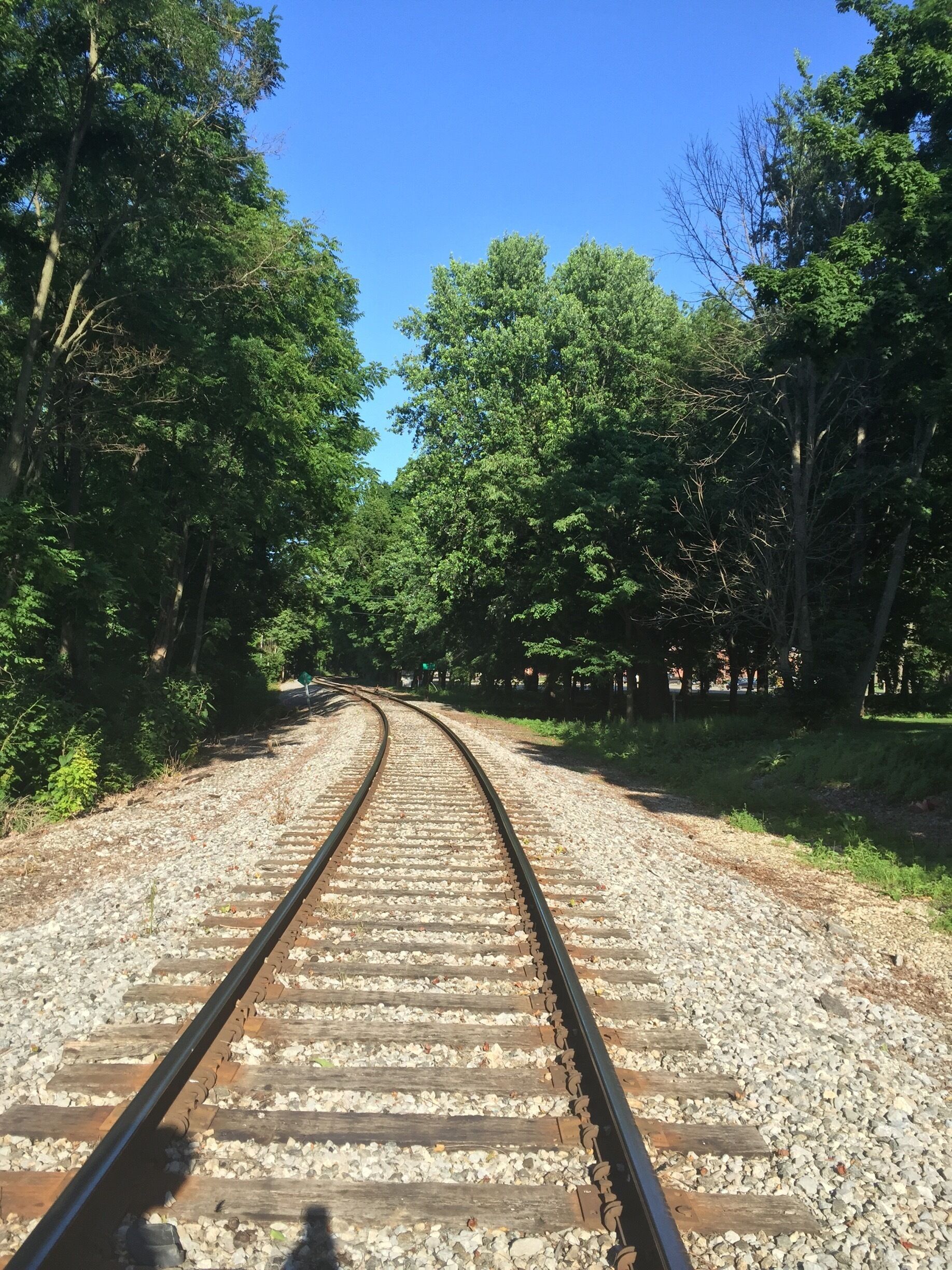 Lead me down the paths less travelled. 