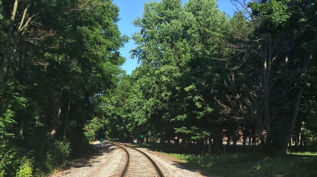 Lead me down the paths less travelled.