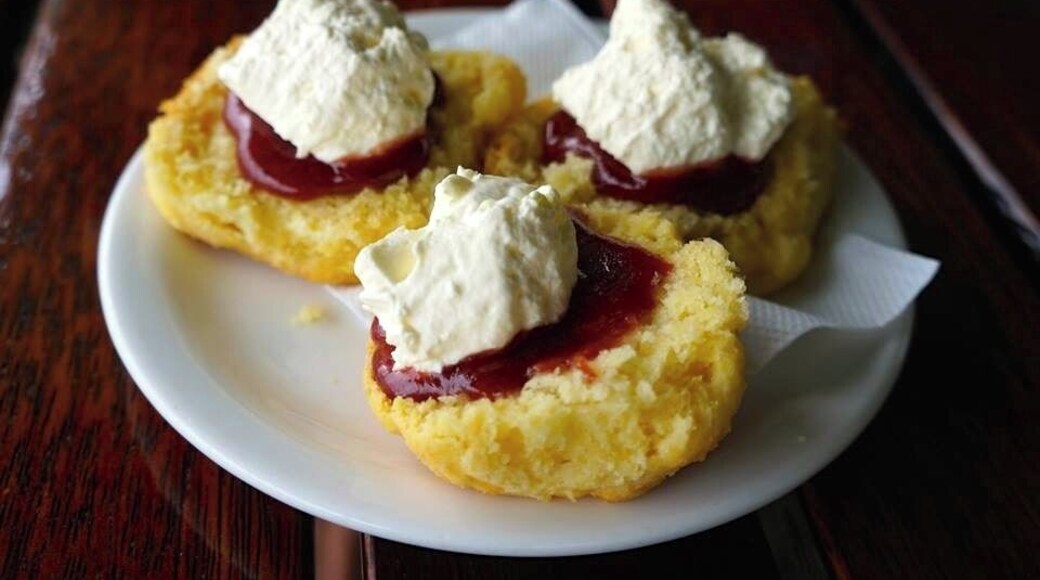 Lake Barrine is the perfect place to stop during a tour of the Tablelands, but make sure you try their home made scones. So delicious and with a beautiful view to go with it!
www.cheskiesgaplife.com
