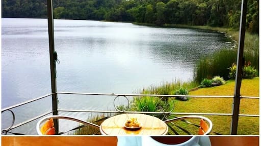 Although it was still raining the Lake Barrine Teahouse was a lovely place to visit right on the lake. They’re famous for their Devonshire Tea and we appreciated that they had a little kiddies play area so we could have some down time with our tea.
Lake Barrine is also well known for its relaxing cruises around the volcanic crater brim, or if you’re feeling more energetic there’s a 5km walking track around the lake.