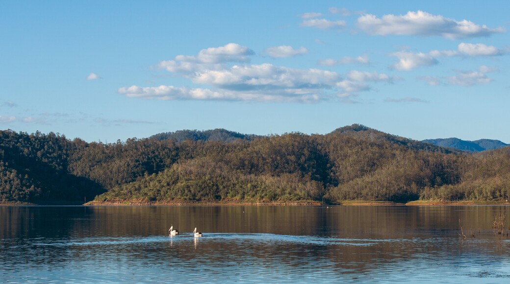Lake Wivenhoe in Queensland during the day