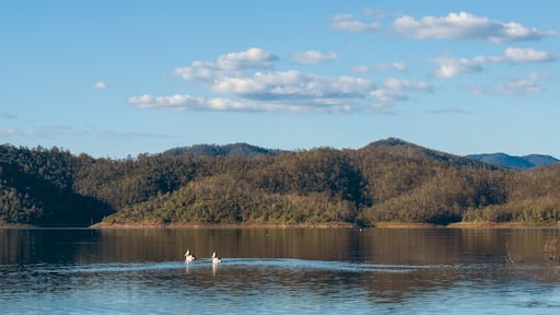 Lake Wivenhoe in Queensland during the day