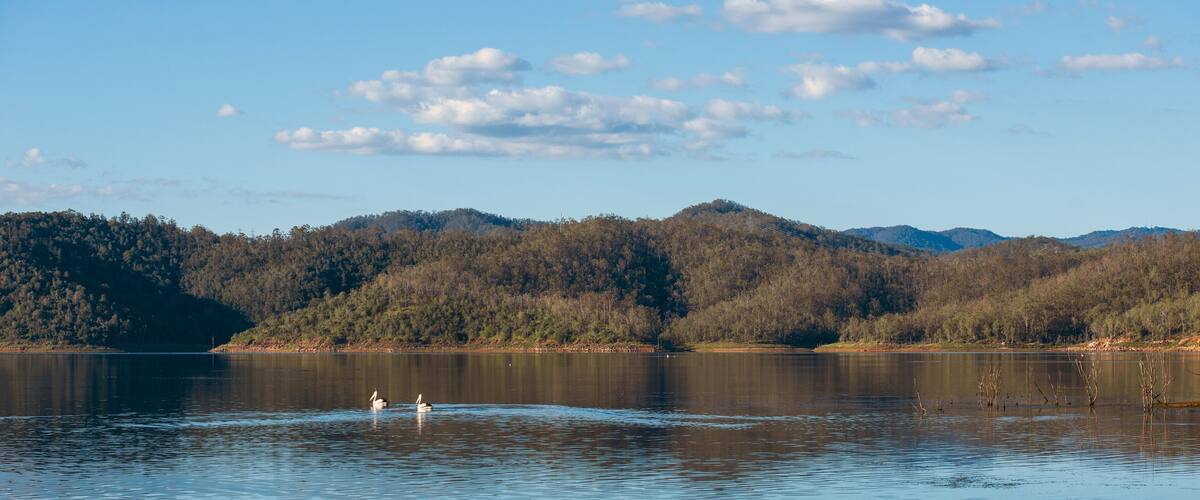 A calm lake with swans, surrounded by forested hills and a clear sky.