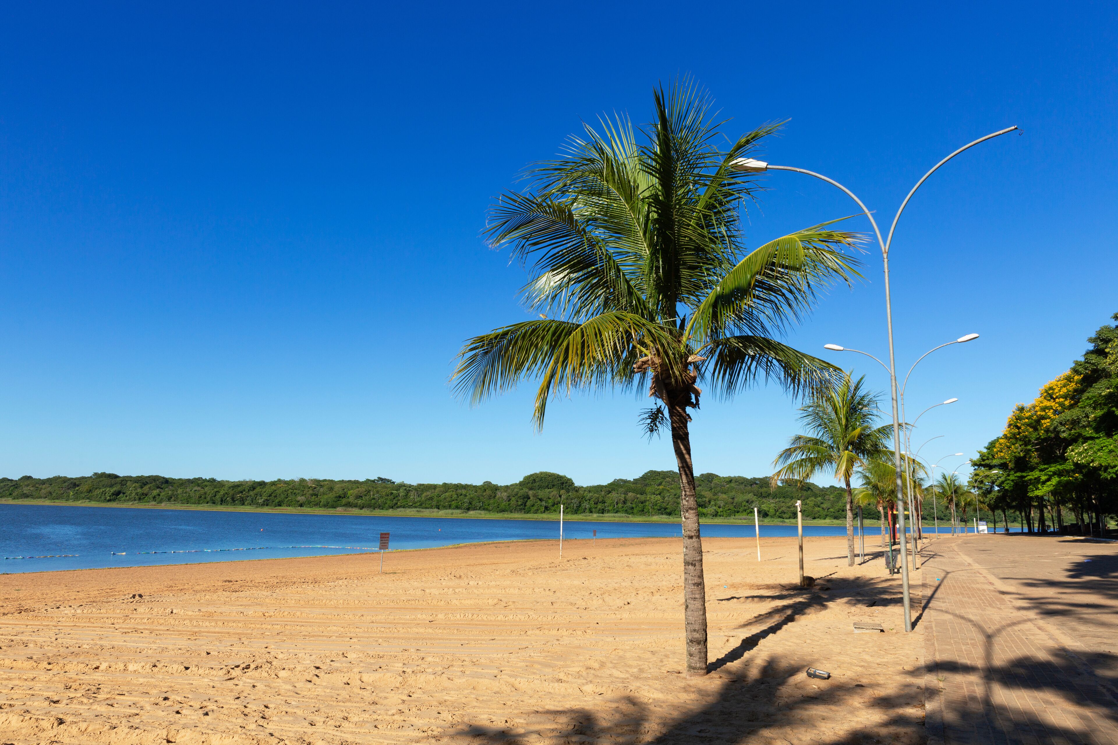 A sandy beach with palm trees and a clear blue sky.
