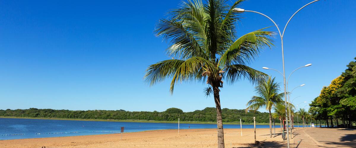 A sandy beach with palm trees and a clear blue sky.