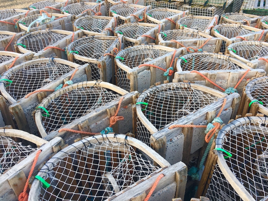 Lobster traps
