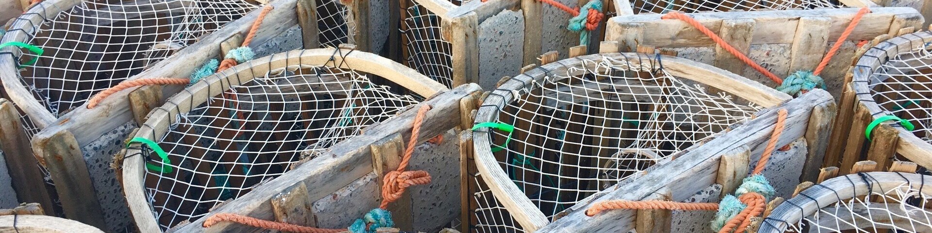 Lobster traps