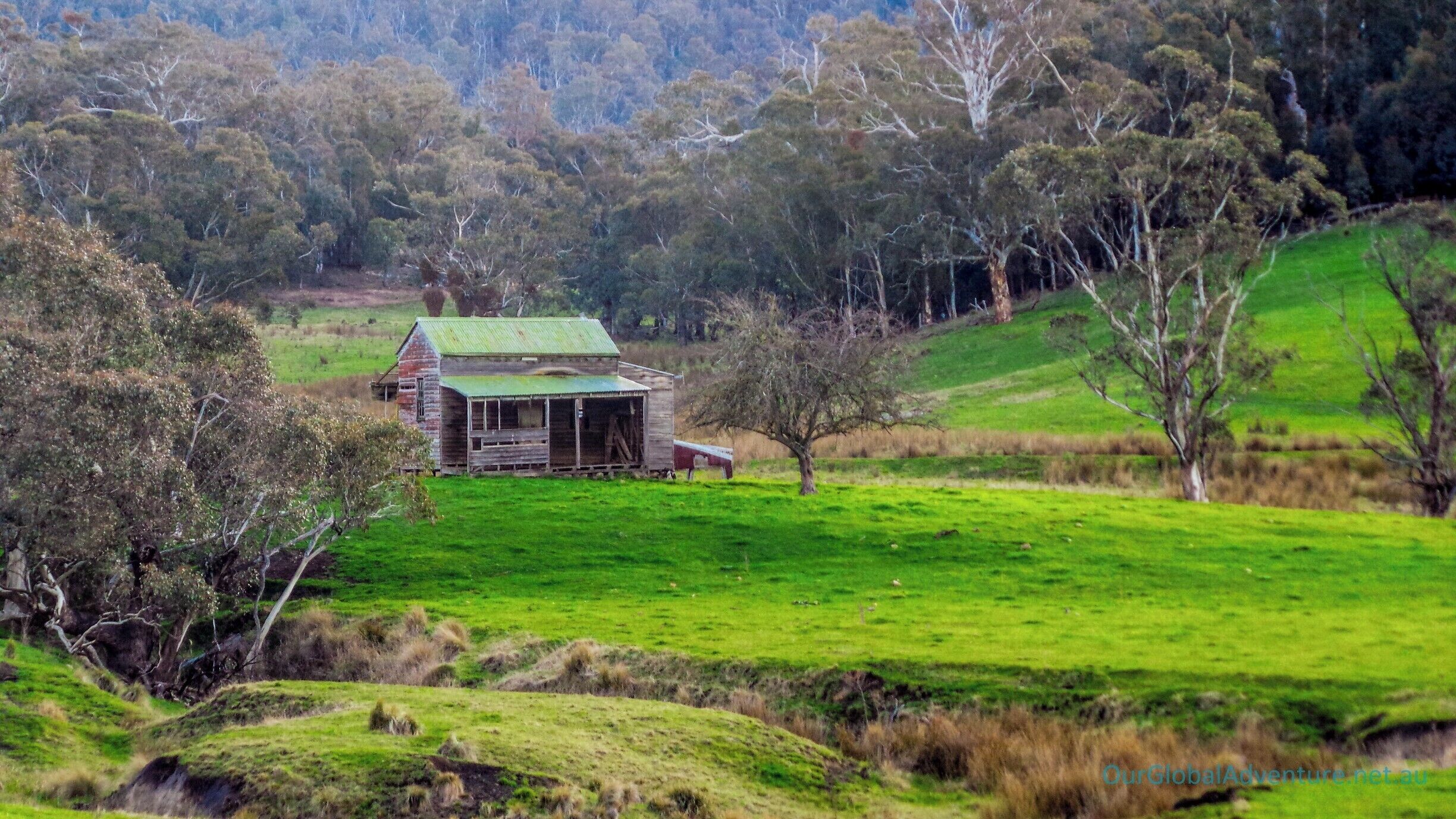 The road north from Buchan, heading to McKillops Road & Little River