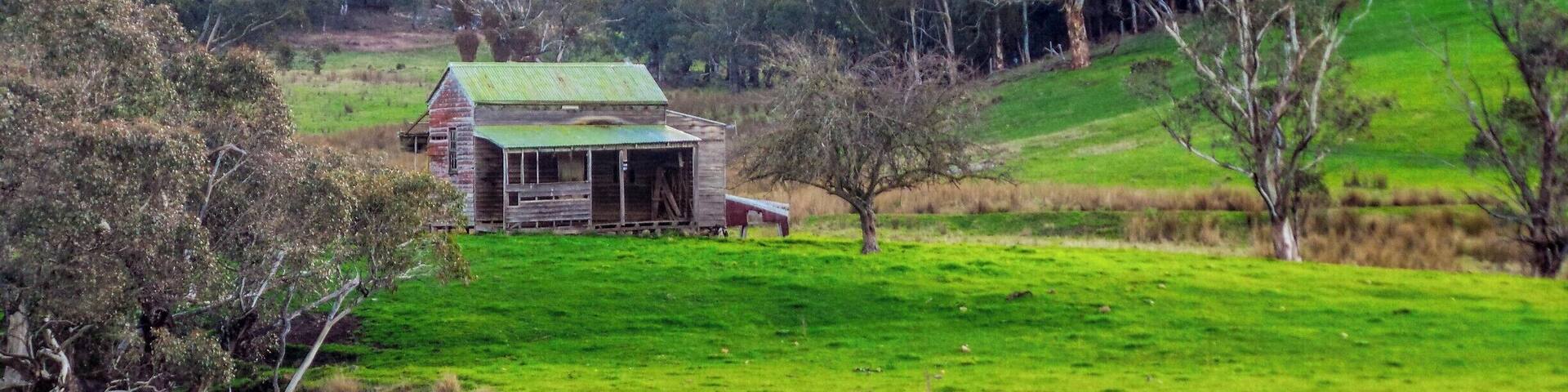 The road north from Buchan, heading to McKillops Road & Little River
