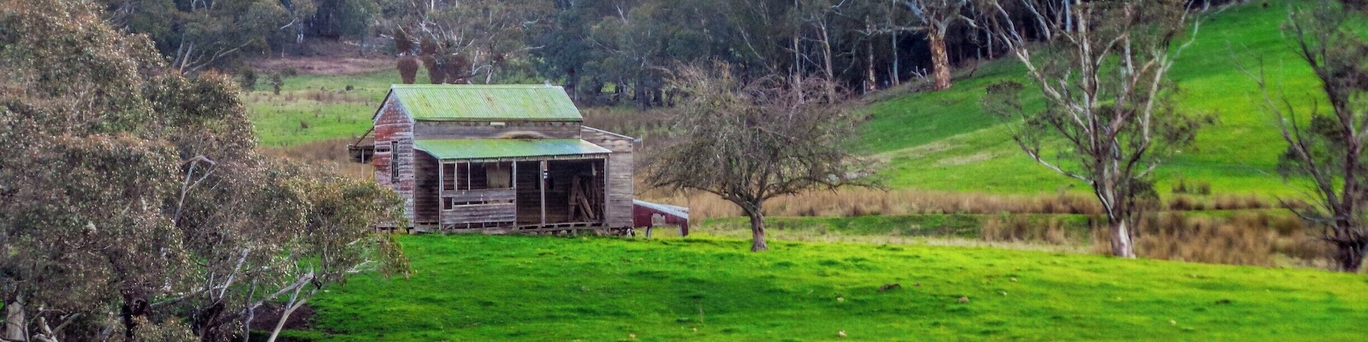 The road north from Buchan, heading to McKillops Road & Little River