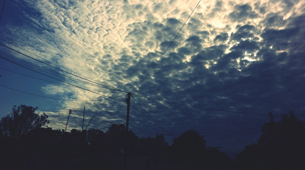 ์ฝ์ํธ์ ํ๋ผ