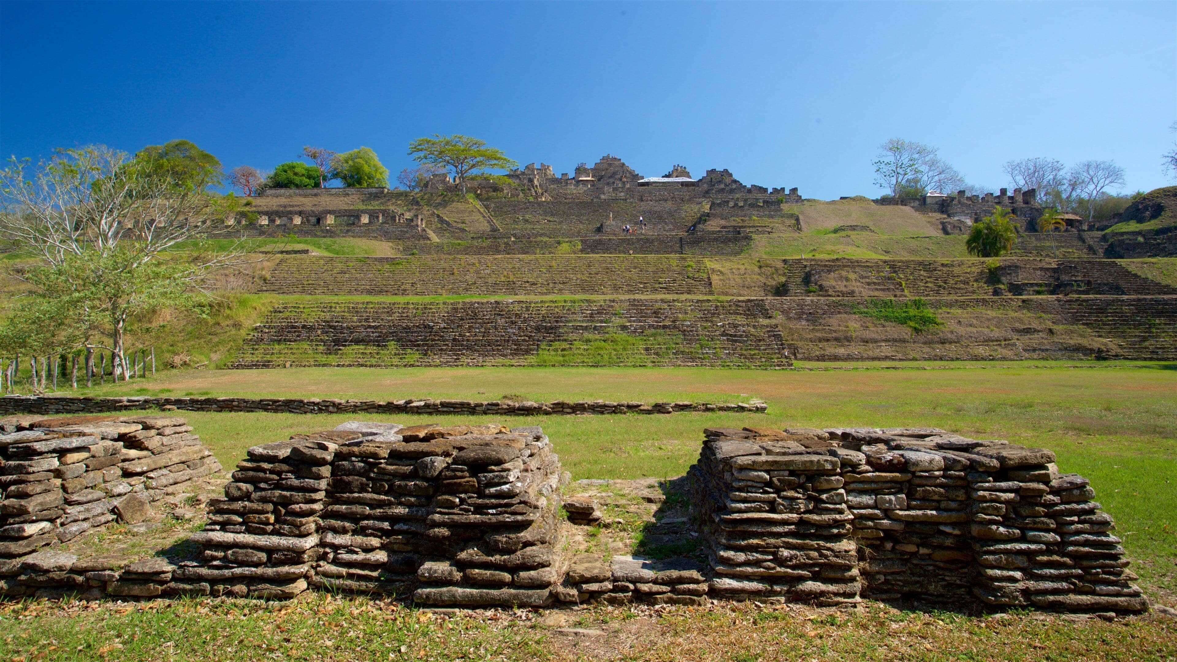 Ancient stone ruins with stepped terraces and a large tree in the foreground.