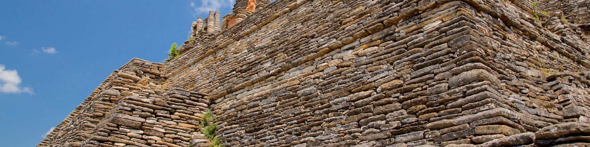 托尼納 设有 傳統元素