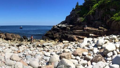 Along the trail off of Duncan's Cove Nova Scotia. A beautiful trail kept up by locals.