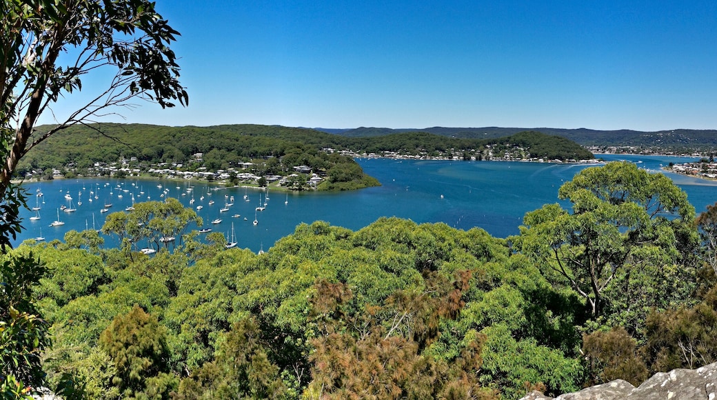 Beautiful panoramic view of a bay full of boats with tall tree in the foreground and mountains, trees and deep blue sky in the background, Allen Strom Lookout, Brisbane Water, Rocky Point Trail, New S