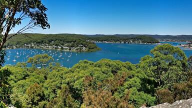 Beautiful panoramic view of a bay full of boats with tall tree in the foreground and mountains, trees and deep blue sky in the background, Allen Strom Lookout, Brisbane Water, Rocky Point Trail, New S