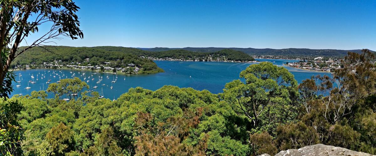 A coastal town with a bay filled with boats, surrounded by dense green forest and hills in the background.