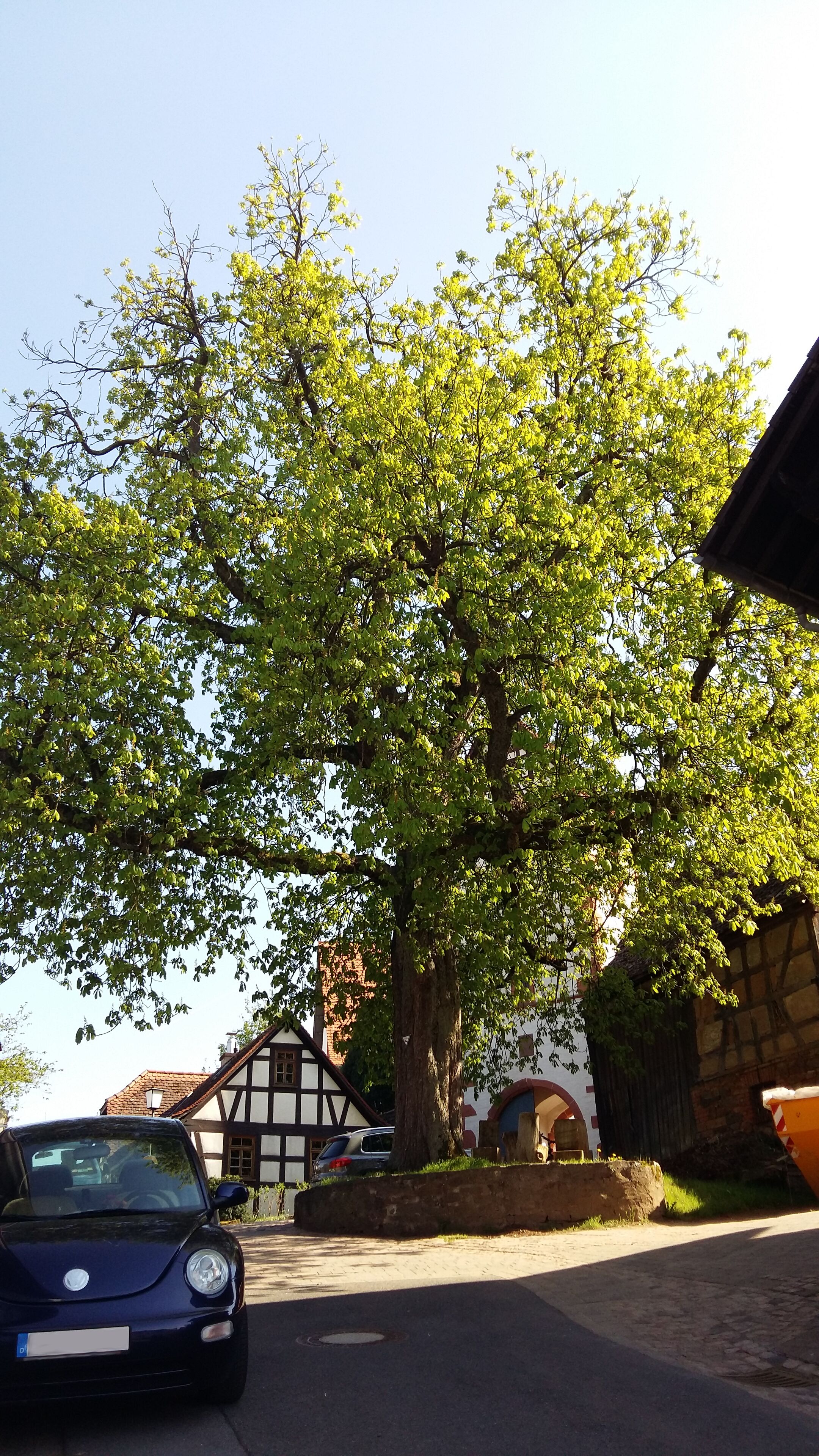 A tree-lined street with a car parked in front of a half-timbered house.