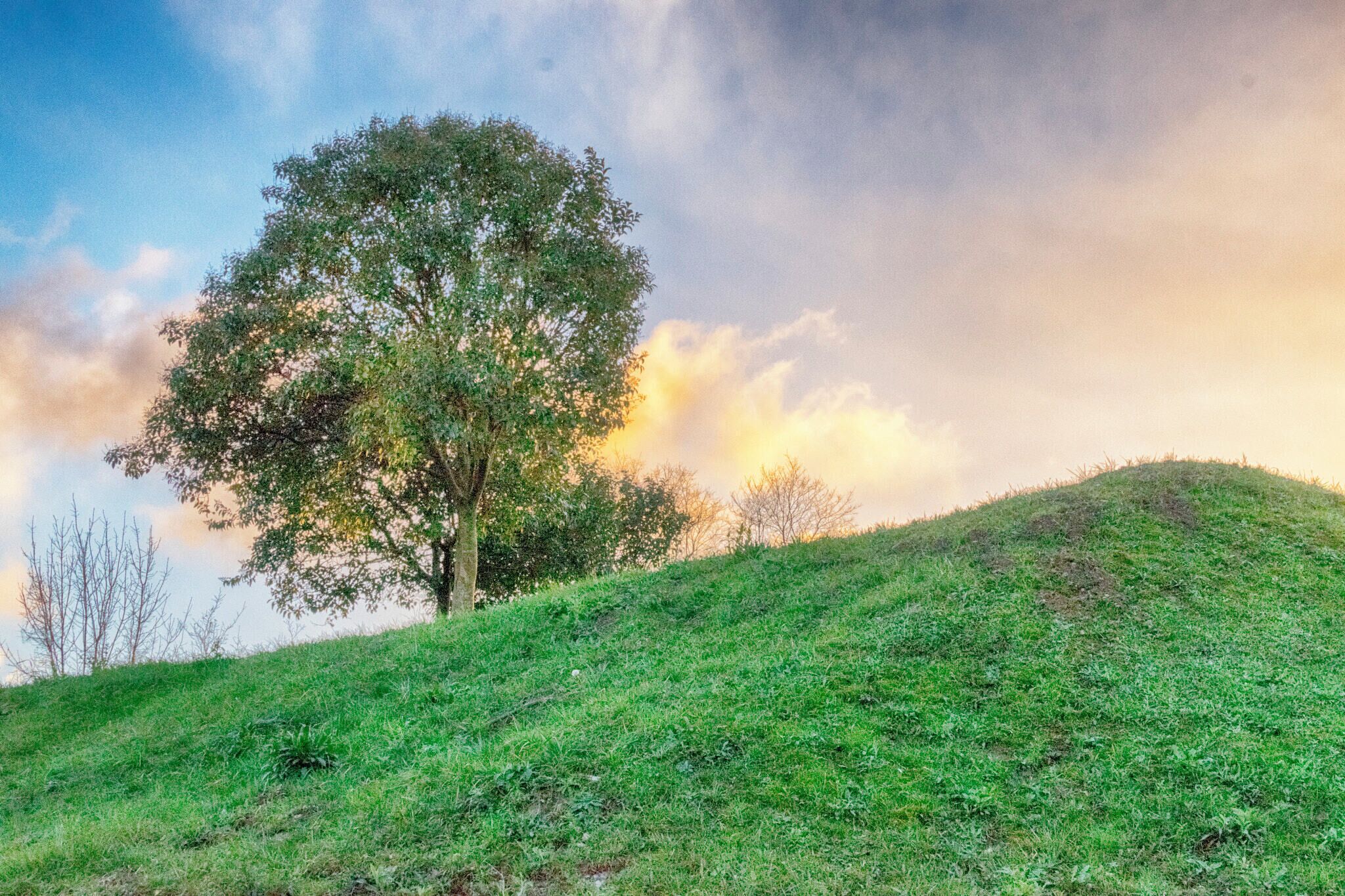 500px provided description: Zuhaitz Isolatua [#landscape ,#countryside ,#mountain ,#hill ,#scenery ,#rural scene ,#non-urban scene ,#scenic ,#mountain range ,#country road ,#horizon over land ,#rolling landscape ,#Beraun]