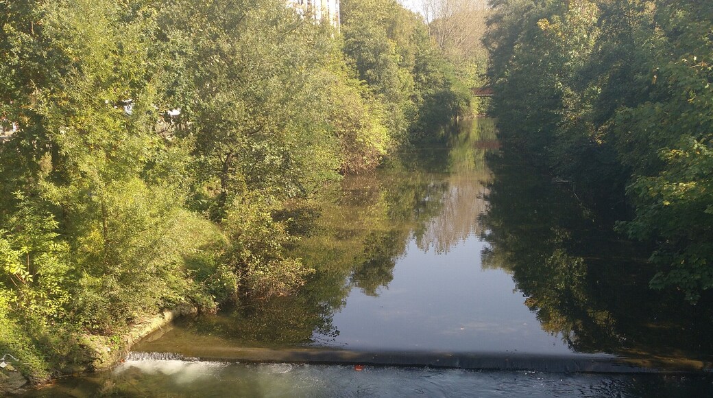 Oiartzun Errenteriako Gabierrota auzotik pasatzean egiten duen saltoan.