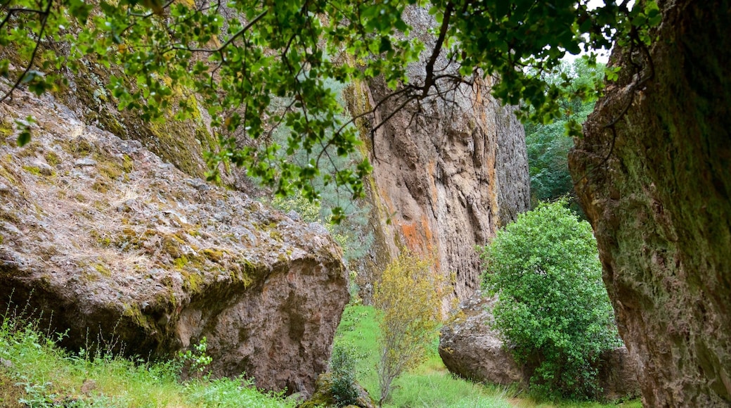 Pinnacles National Park fasiliteter samt rolig landskap